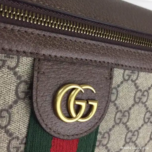 Rep GG Ophidia Gucci 0213