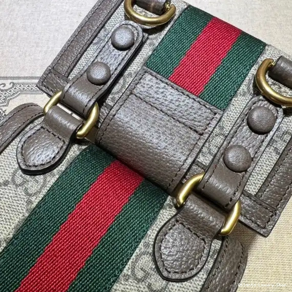 Rep GG and detachable Ophidia mini bag wallet GUCCI 0208